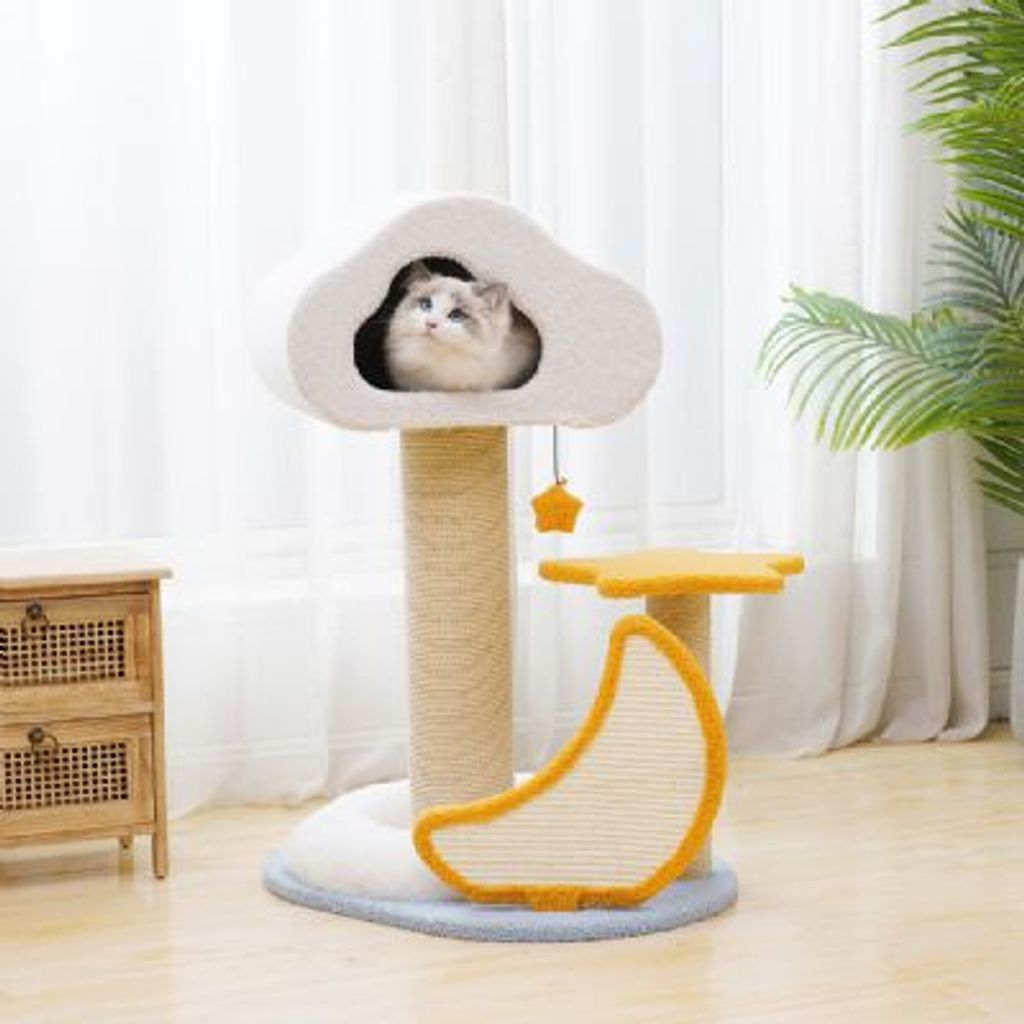 tw-11134207-7qul6-lgsz3g8zo20ca1