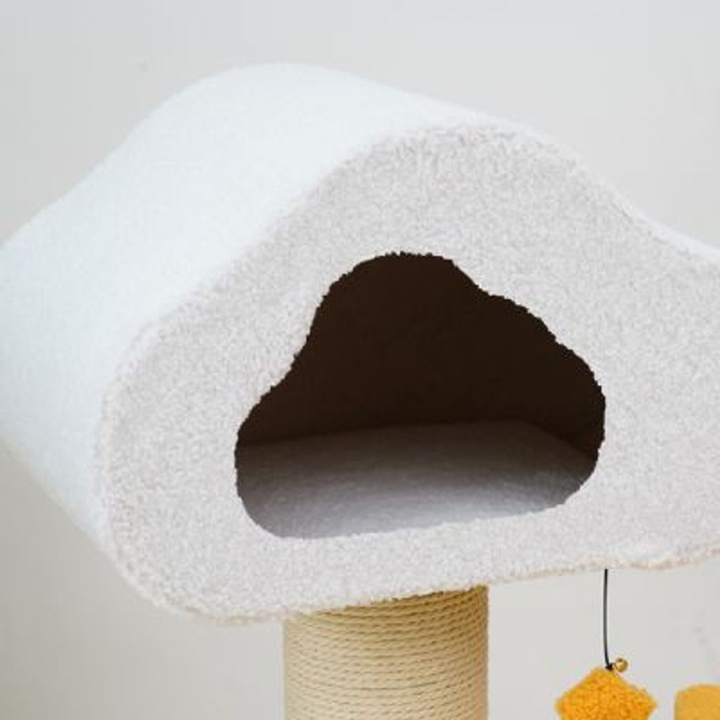 tw-11134207-7qul8-lgsz3g8zqv5813