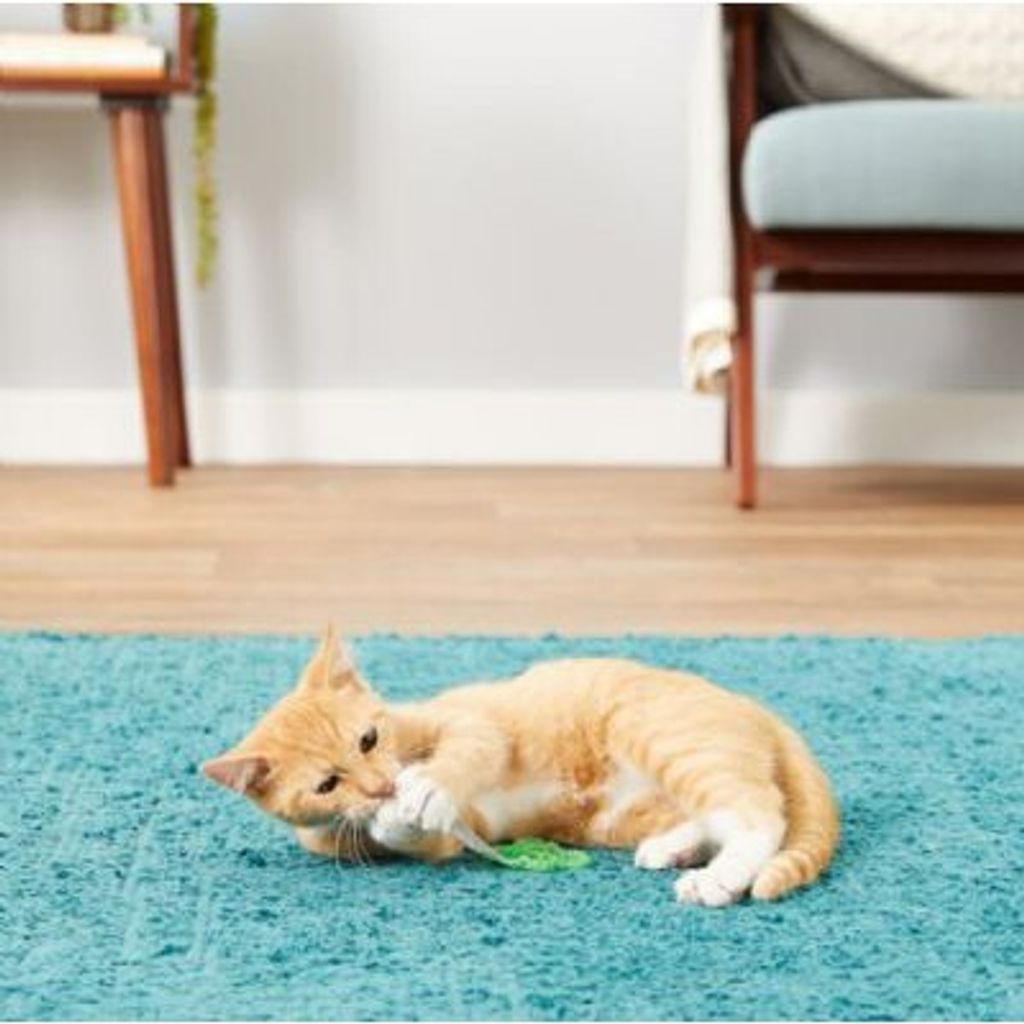 521984f5ae004b94b57bb3572432391a