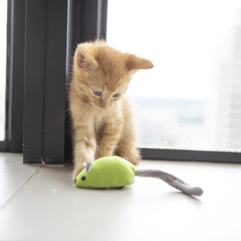 db40c364ed87ae5b20a75ad34861f951