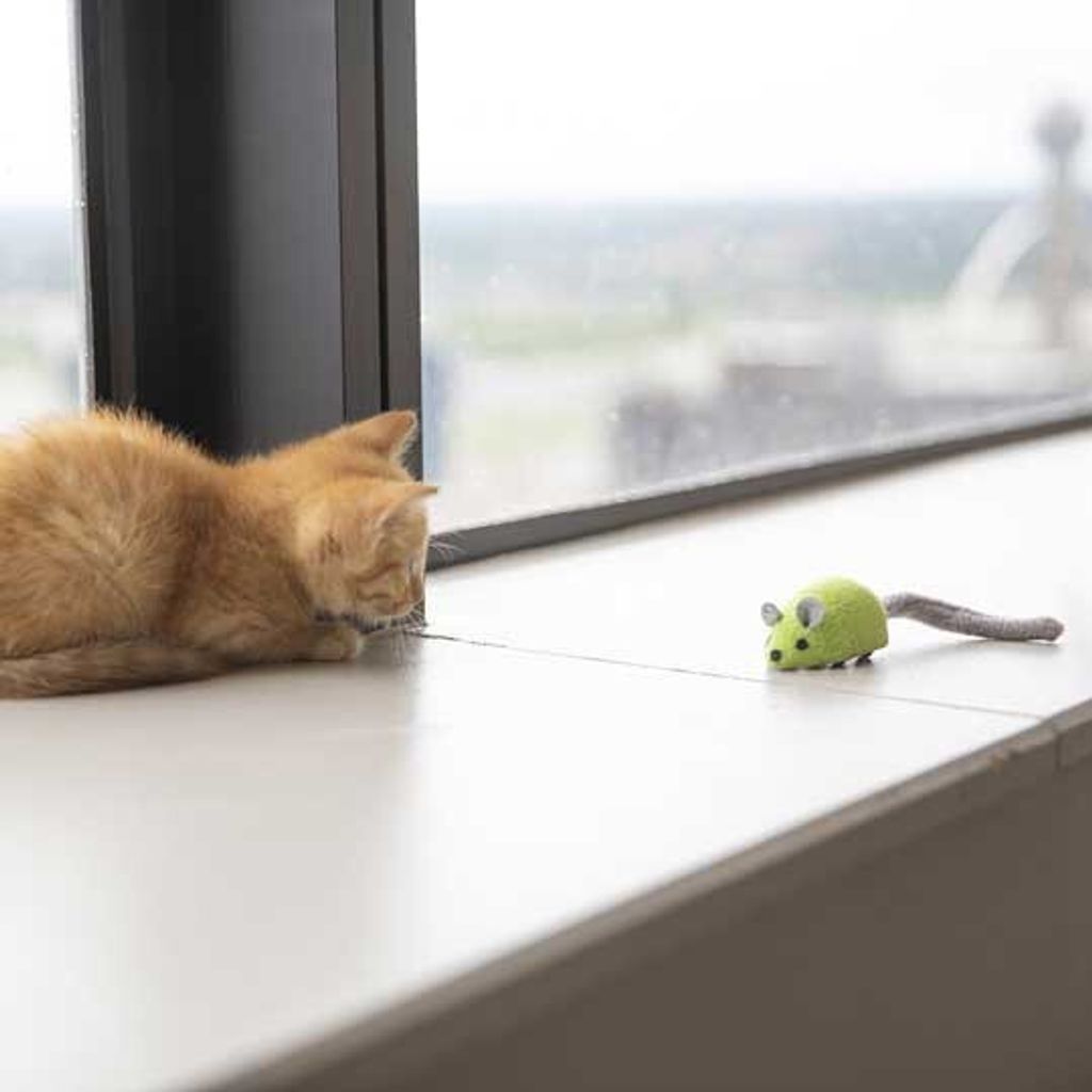 b8c88041de1aff97434648449e8d9f60