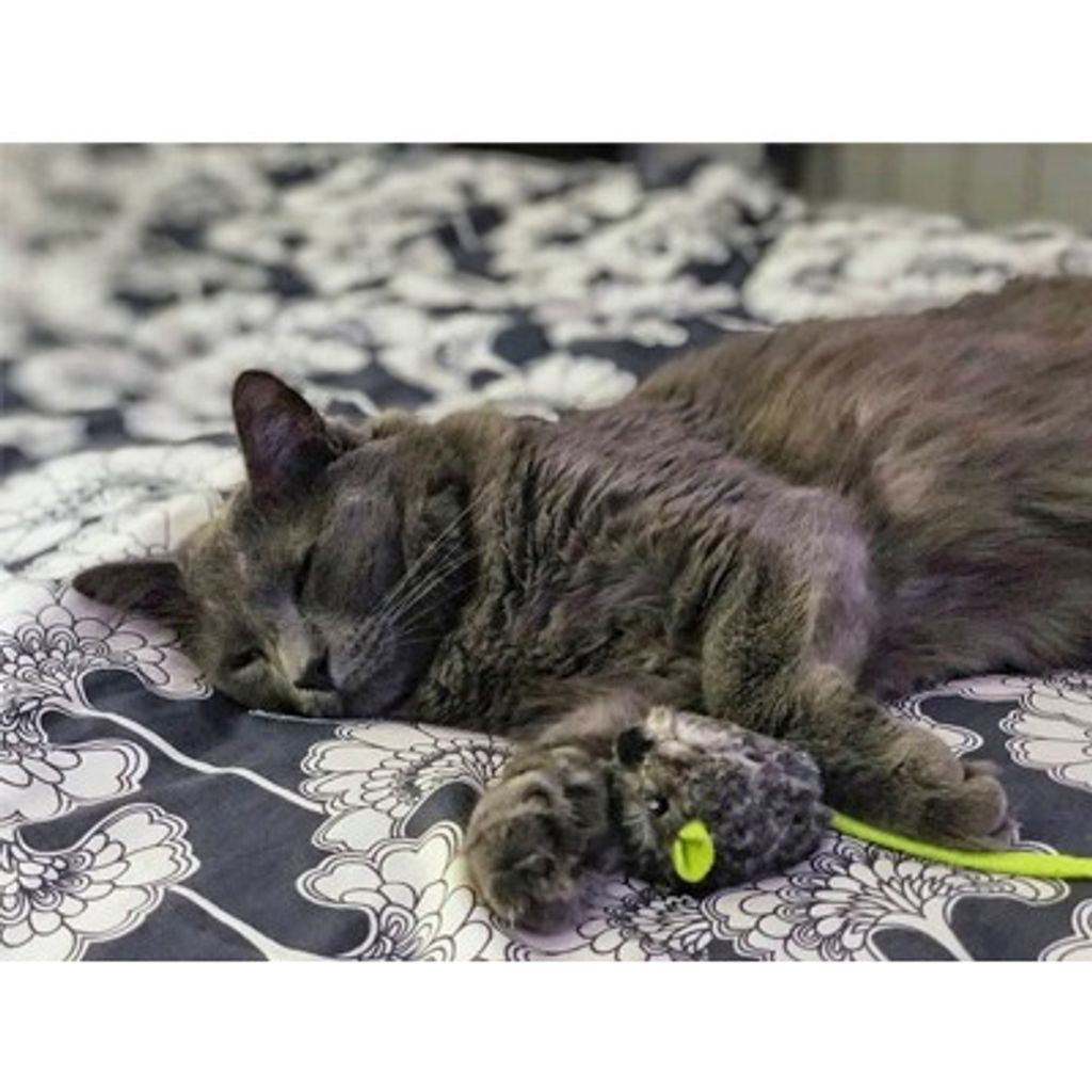 905bb012efca6e85398738ab30d5ccec