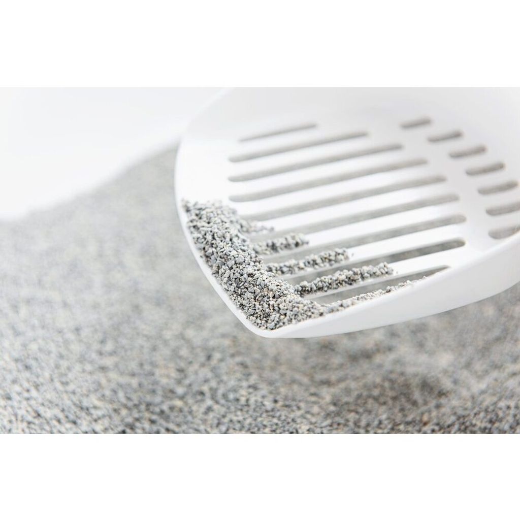 tw-11134207-7r992-lw1cgcn8bxnq4e