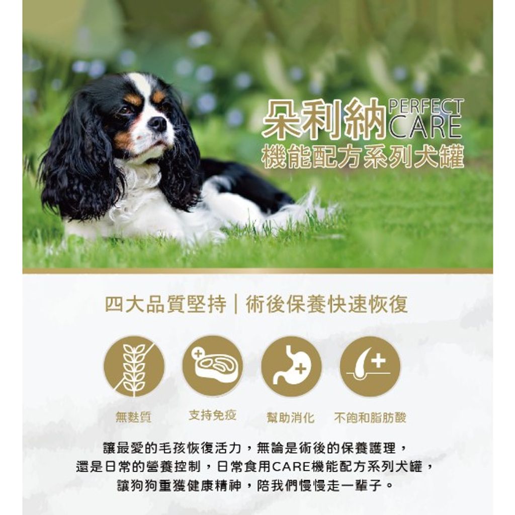 tw-11134207-7r98o-ll33og5envv544