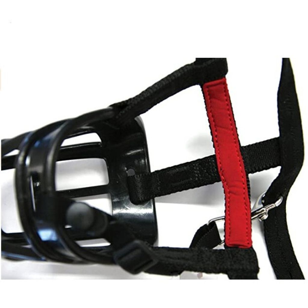 d293e701968a5da90c7cde915f7dde7f