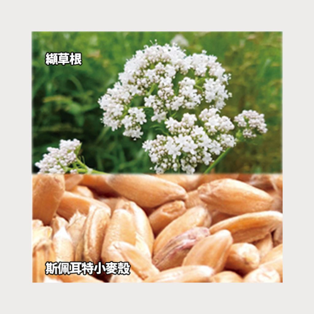 tw-11134207-7ra0s-mc8qqchm8gnv40