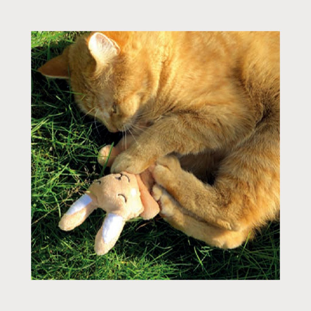 tw-11134207-7ra0h-mc8rjzw87rrve1