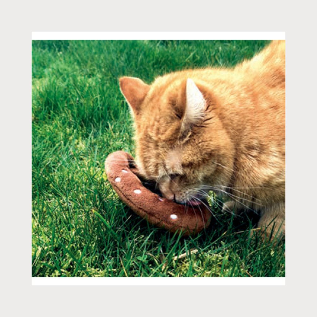 tw-11134207-7ra0m-mc934qqldd7ge6