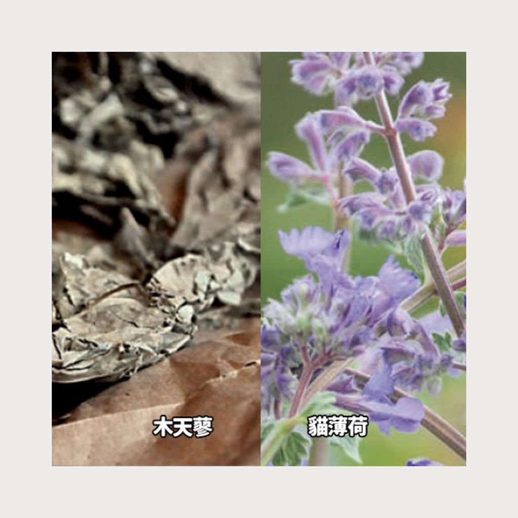 tw-11134207-7ra0u-mc934t37xisb9c