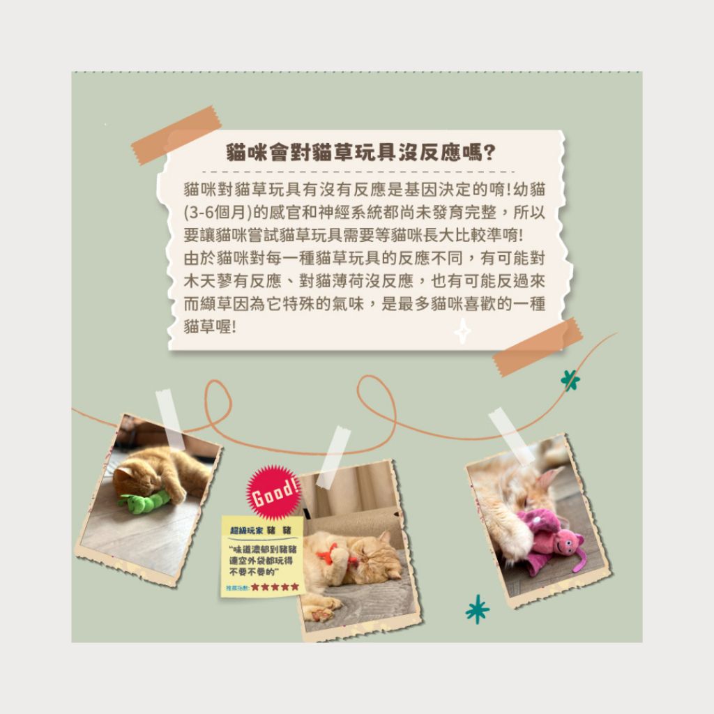 tw-11134207-7ra0h-mc9362uiyw4cf7