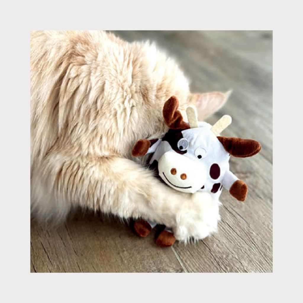 tw-11134207-7ra0m-mc8r6bax2dfy5f