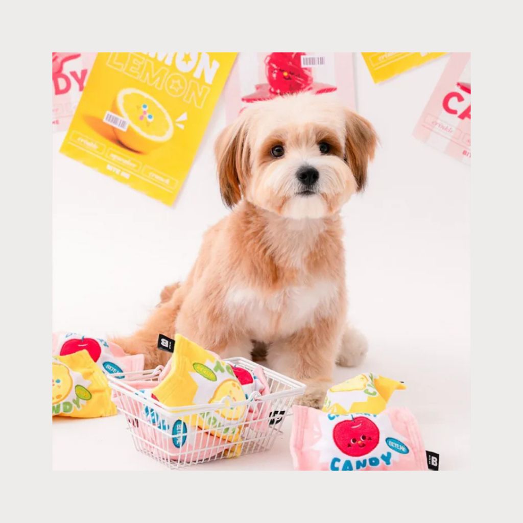 tw-11134207-7ra0g-mbnmqutz49jd47