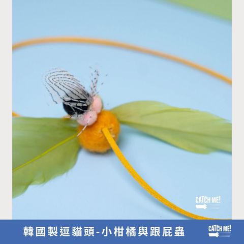 tw-11134207-7ra0h-mc8volc001vy38