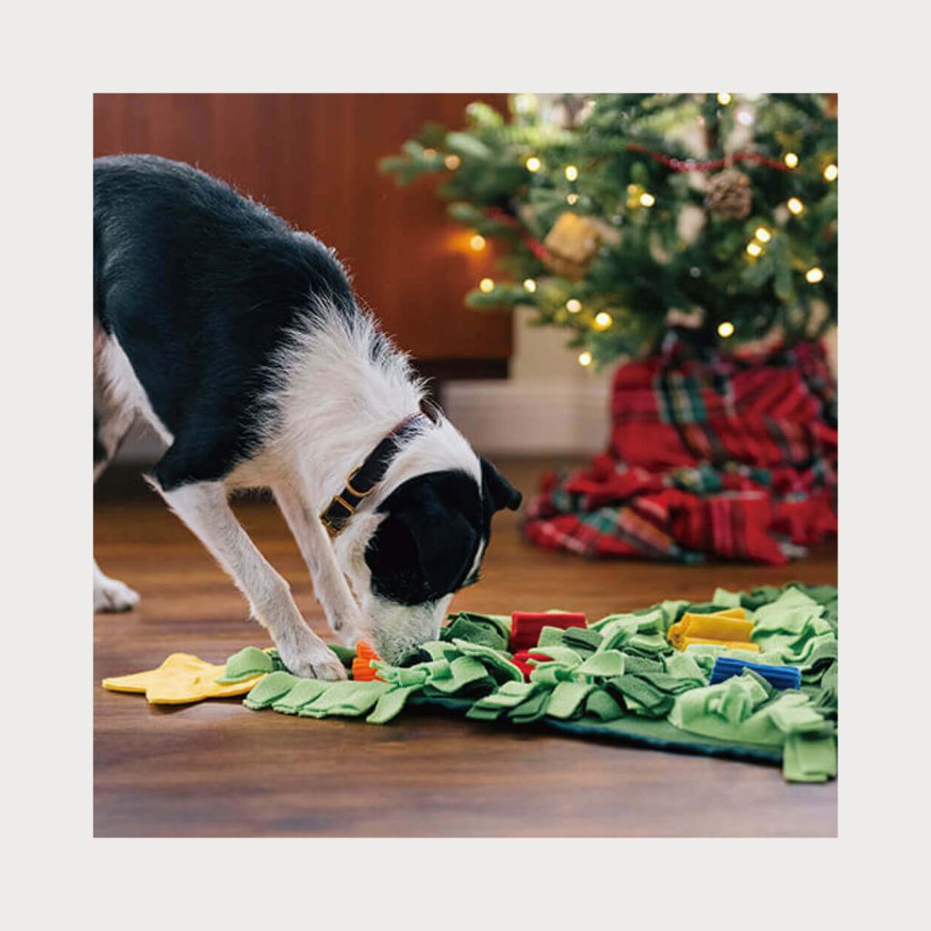 tw-11134207-7rbke-mal2rpfwi8zd84