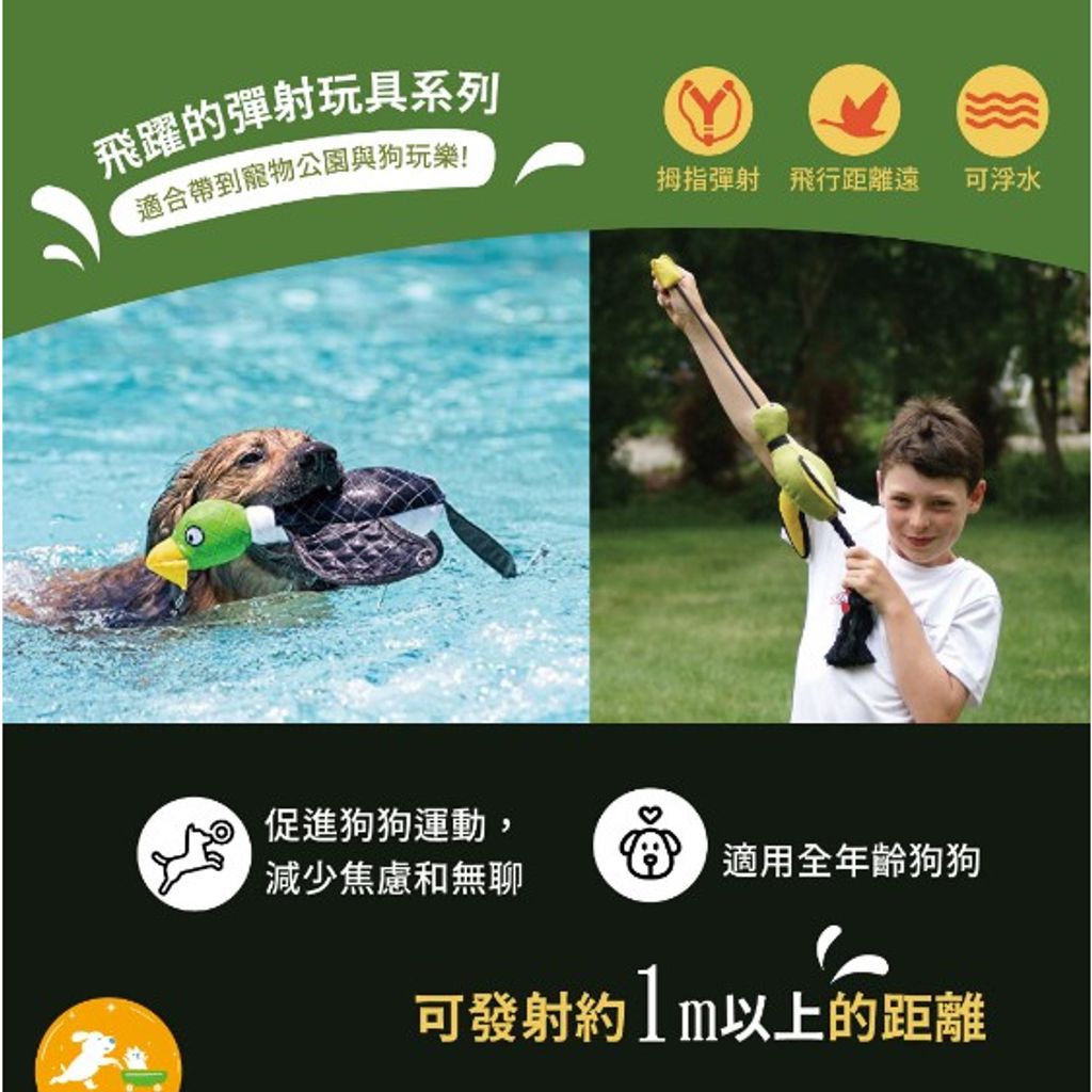 tw-11134207-23020-l47k2si8sbnvfb