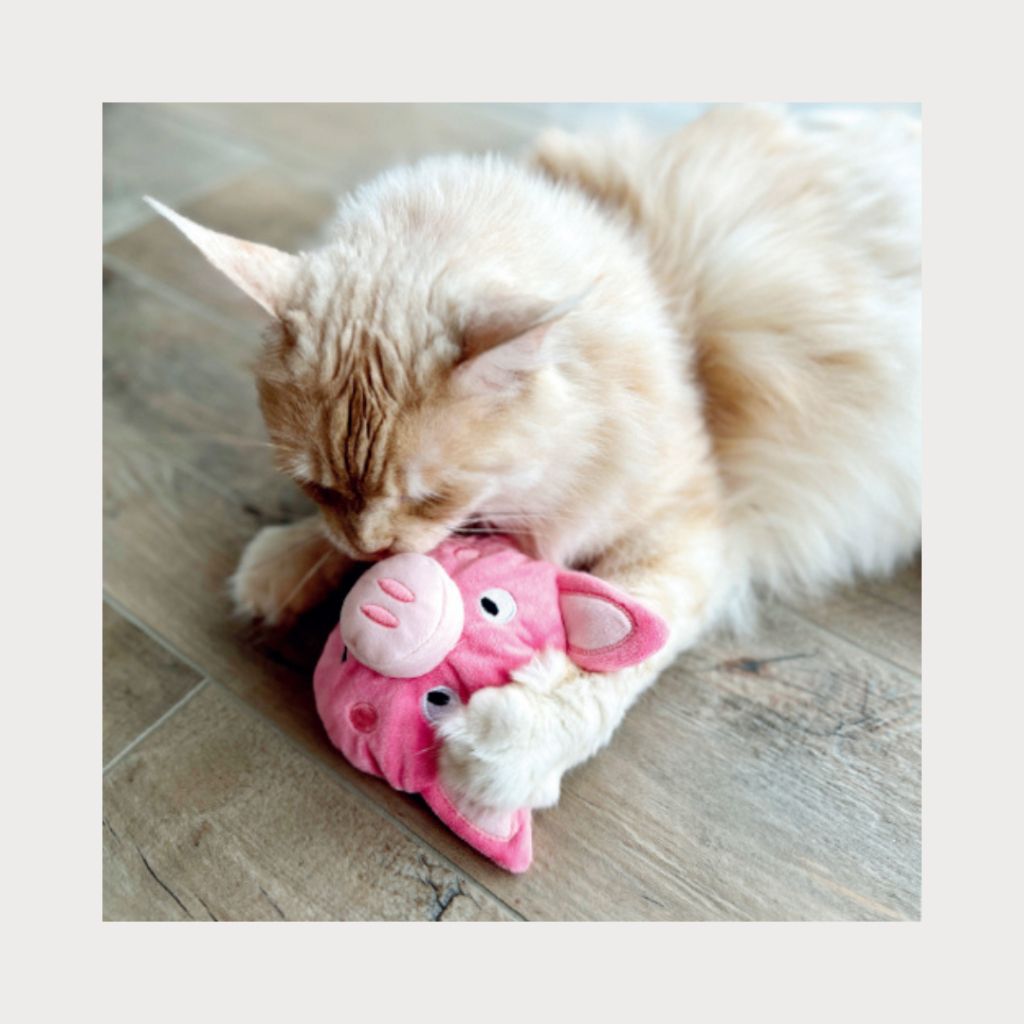 tw-11134207-7ra0o-mc8r9lgg5st807