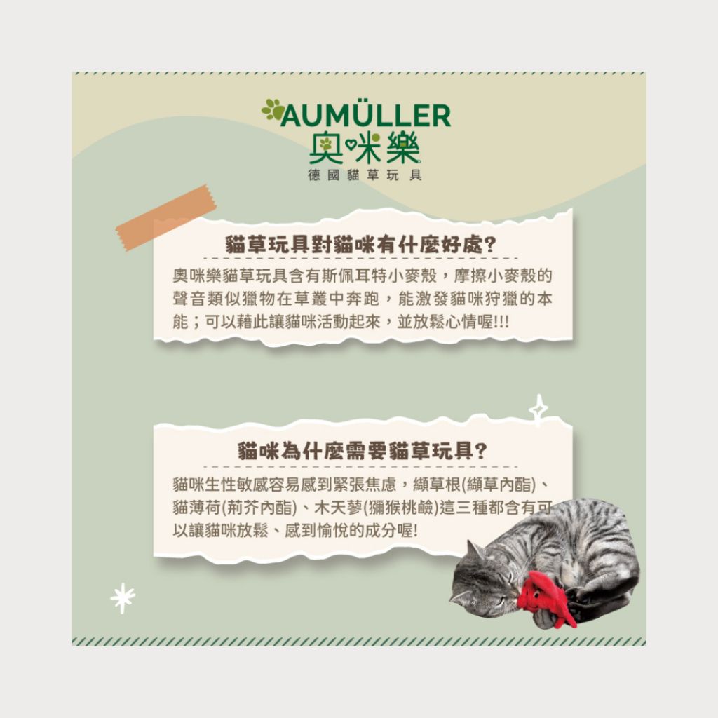 tw-11134207-7ra0q-mc8qqvx3u9238d