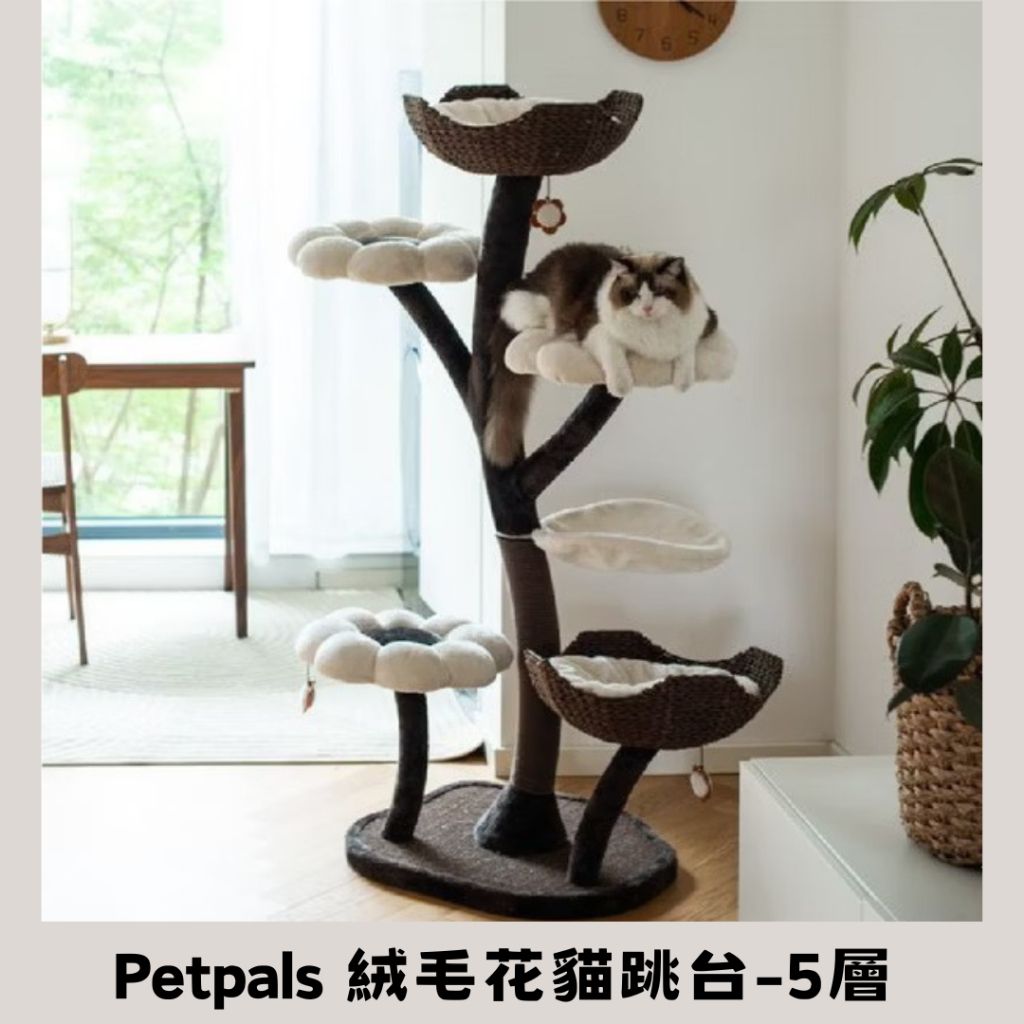 tw-11134207-7r98w-lxj77jgn64h2f5