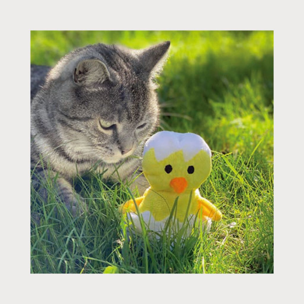 tw-11134207-7ra0p-mc8qqh61e04c6e