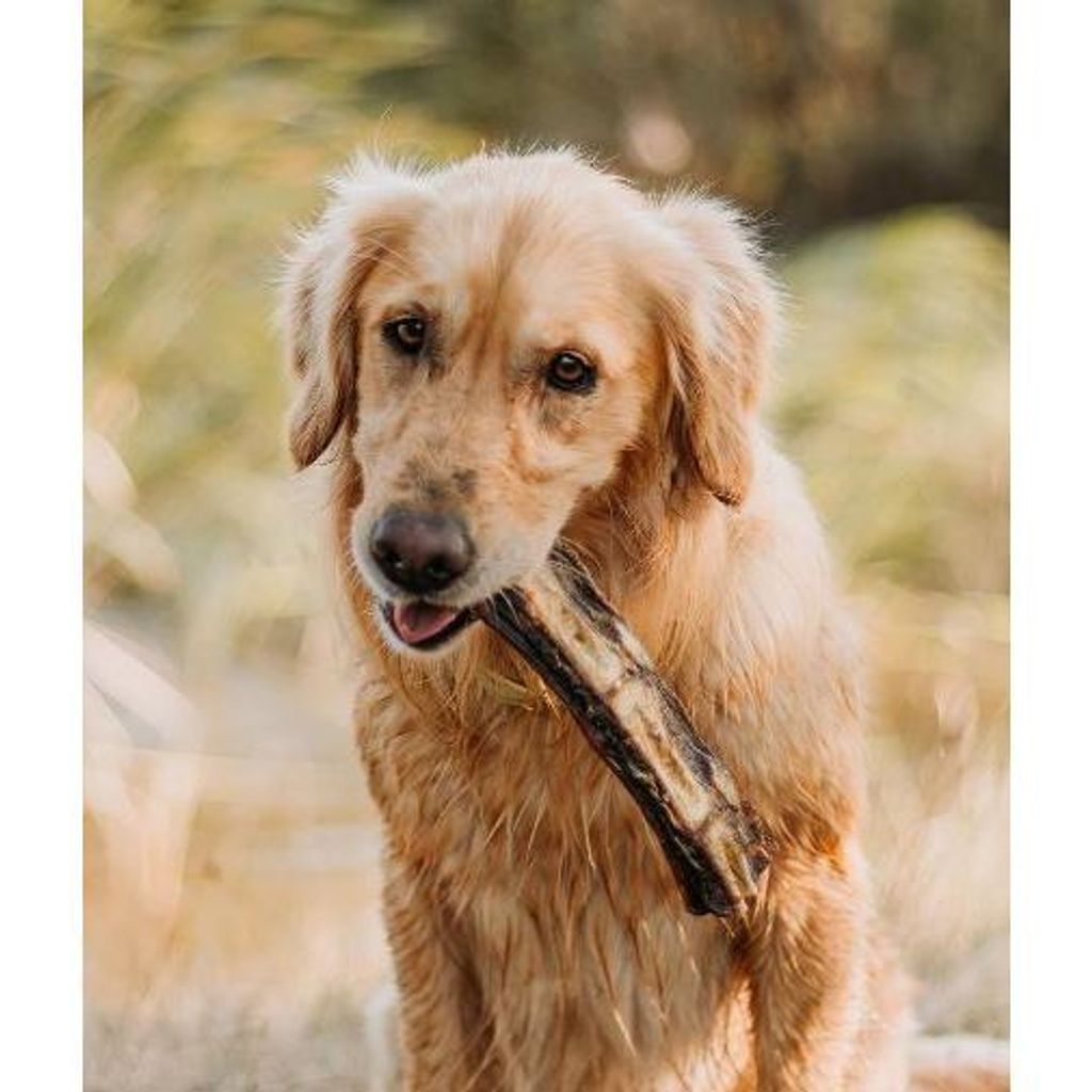 tw-11134207-7r990-lnb9orrbwgft63