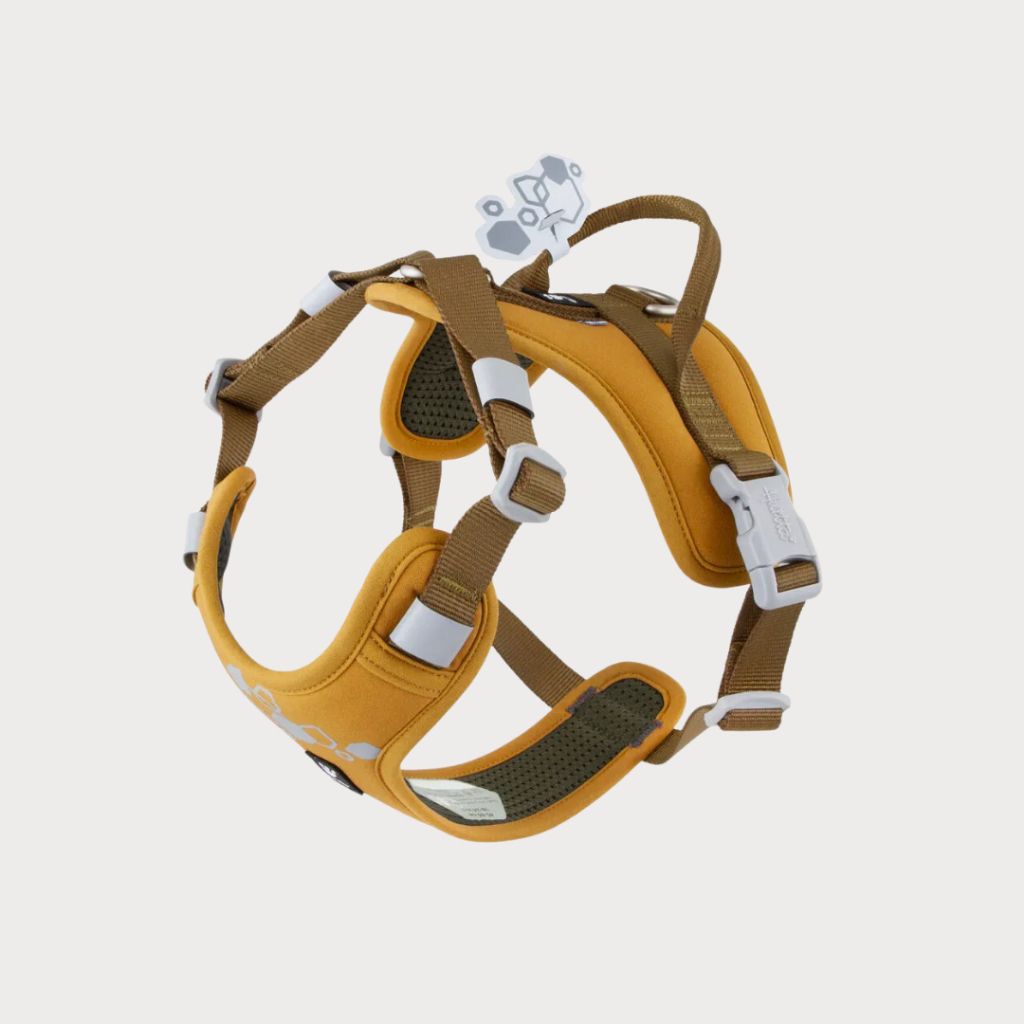 tw-11134207-7ra0p-mbdilee2rnjt01