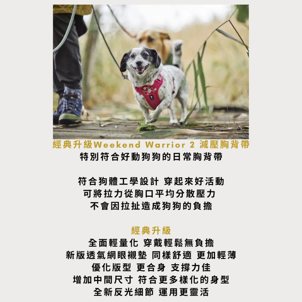 tw-11134207-7ra0m-mbdiaeji1n5i18