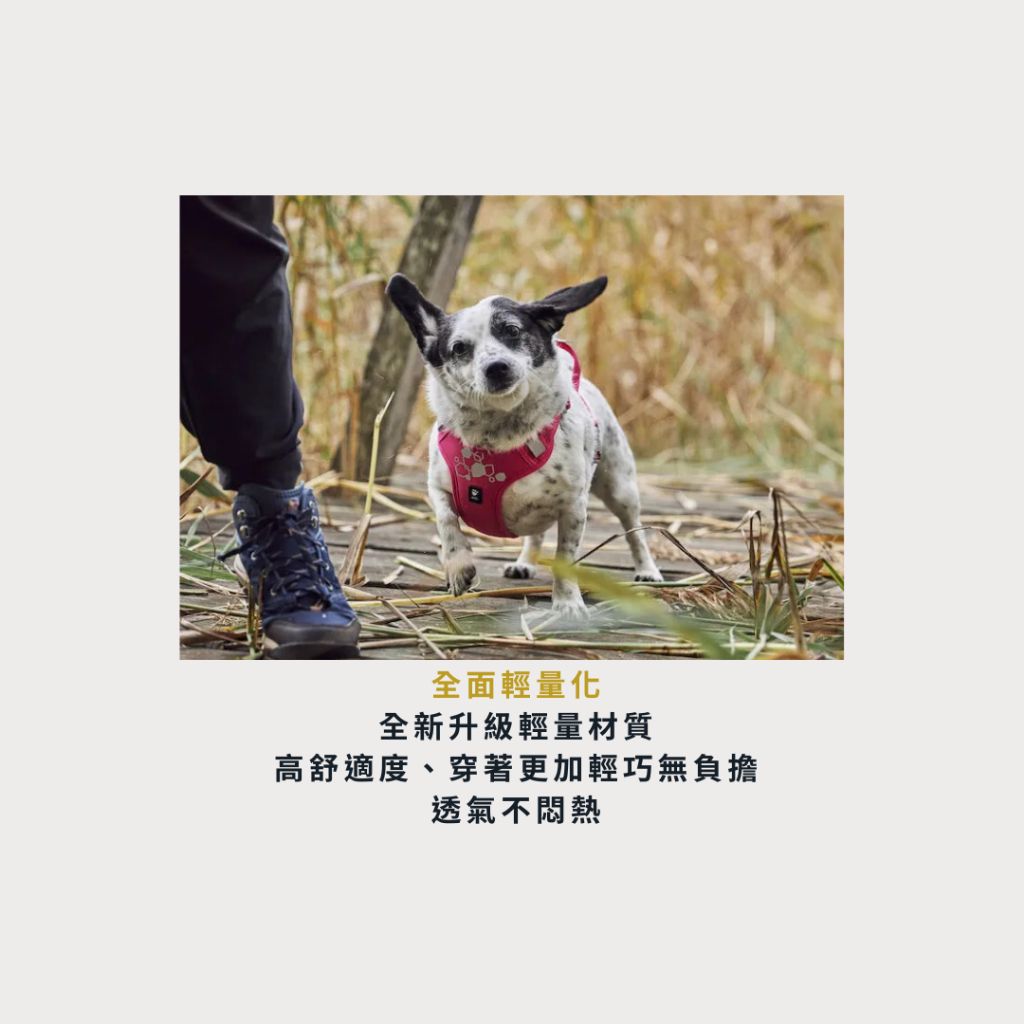 tw-11134207-7ra0g-mbdiagm50f7de3