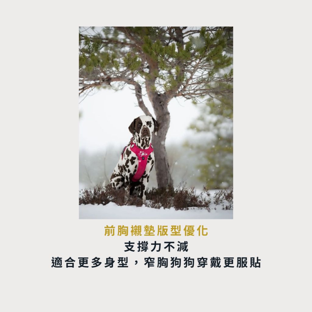 tw-11134207-7ra0s-mbdian73f2m118