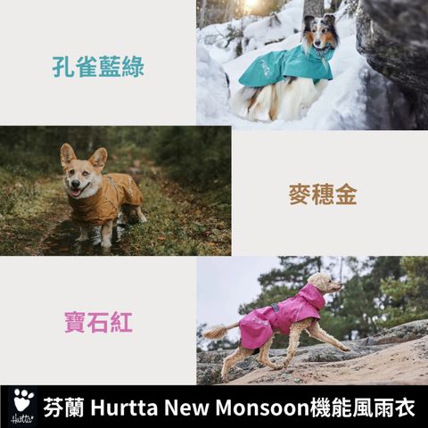 tw-11134207-7ras8-m2924oixeckaca