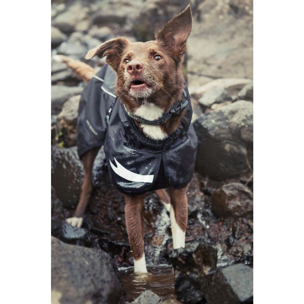 acea94a4636480c2b1dbdb9f671cab04