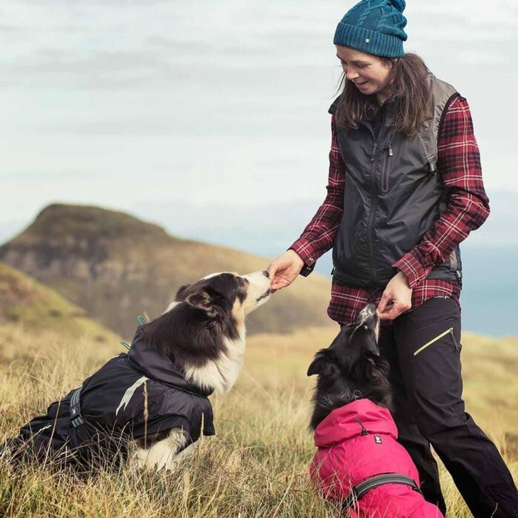 49a2af6ad69f32ed30d848e12c342c22