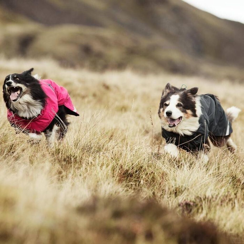 630c2bd92129f838840355ce0da0bbc3