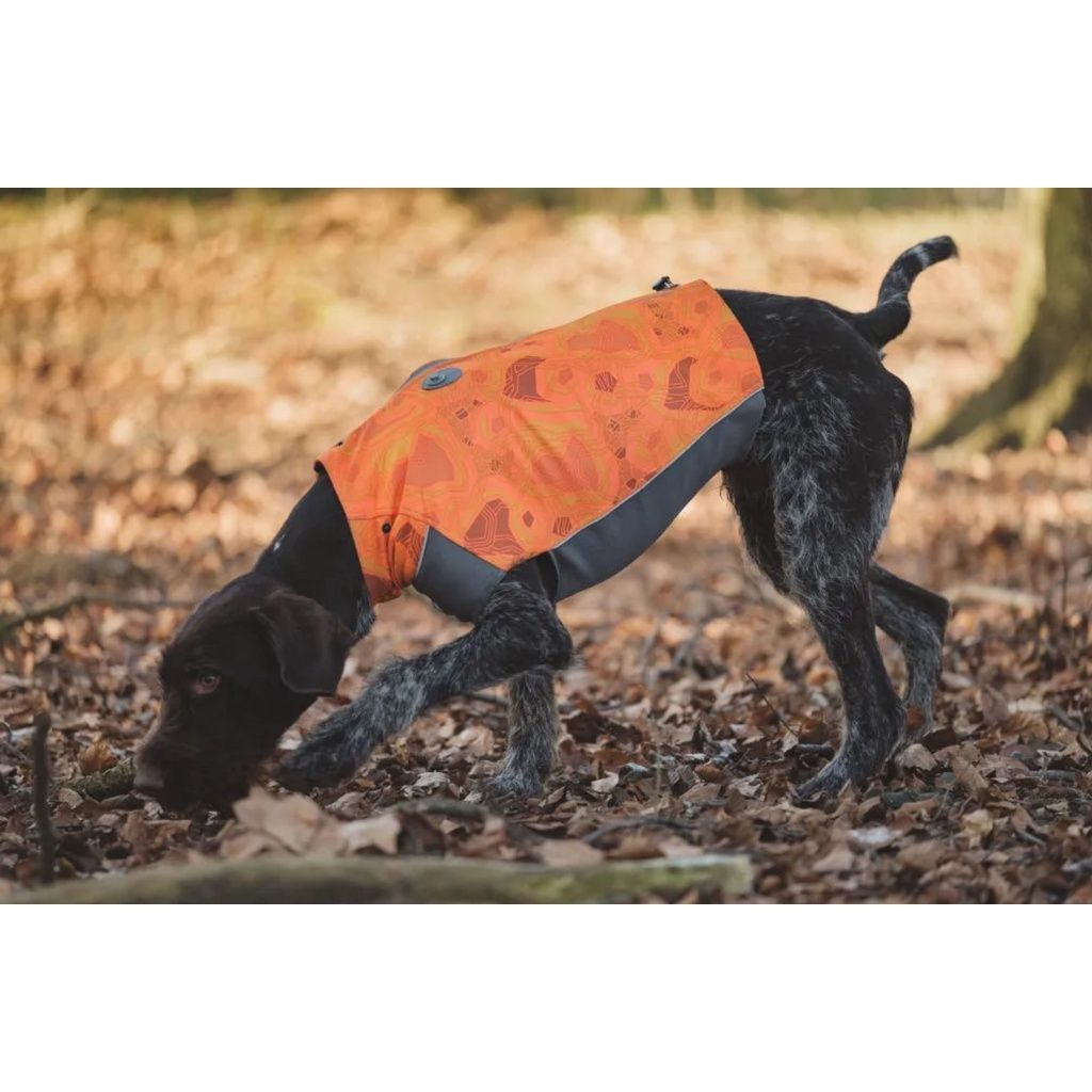 436d886858a33833694ac46eac09a340