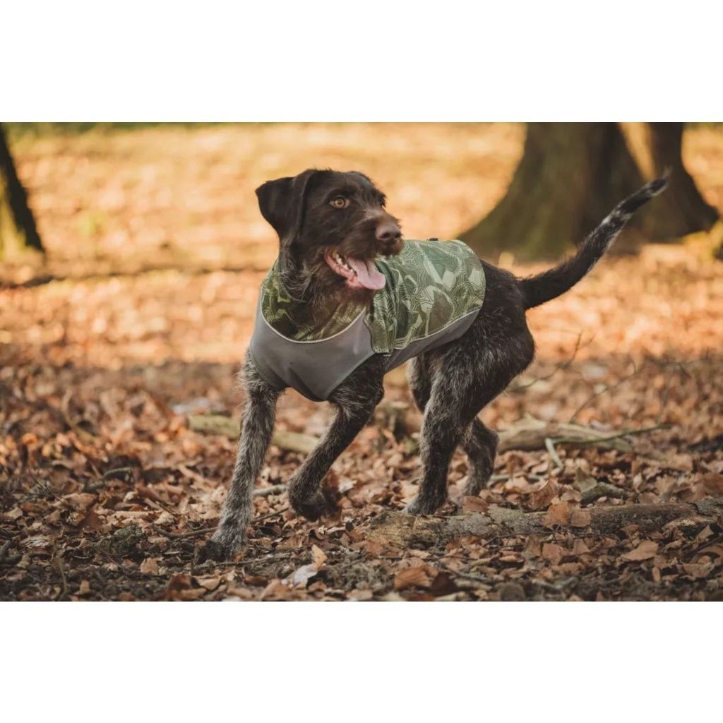 f4e510e59e00f4edab2c906d3055d6d5