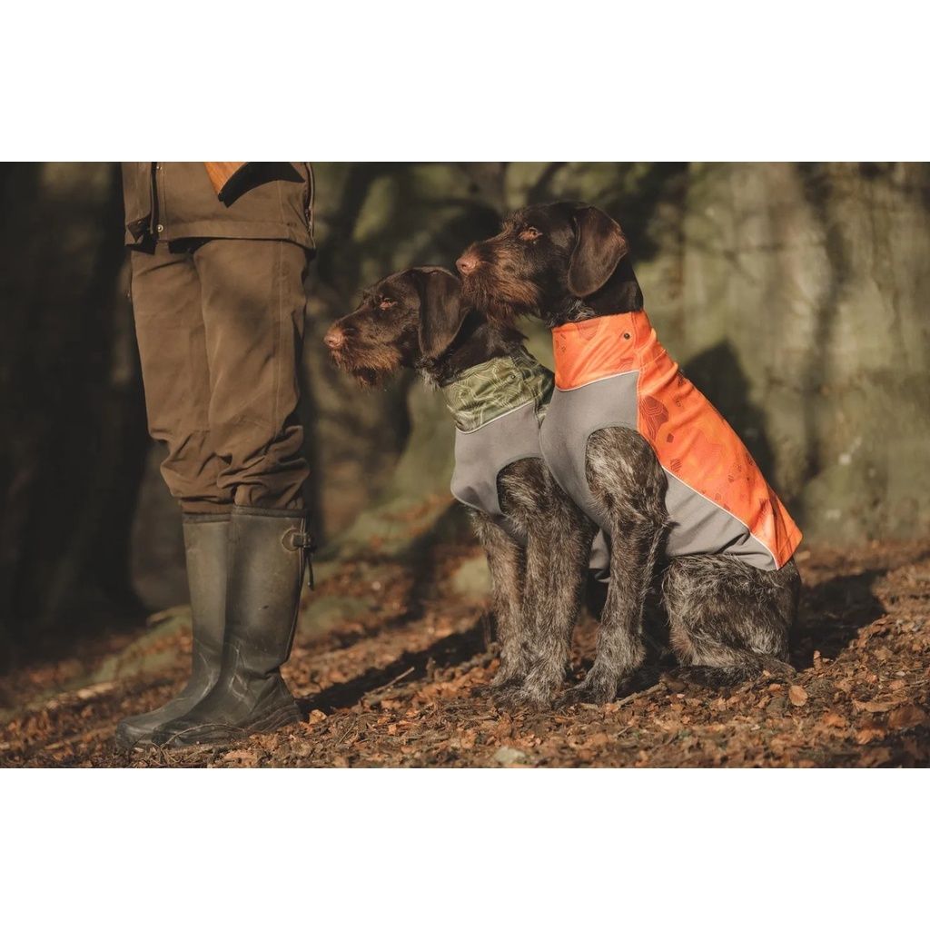 40ba7d909d66f284a14a0a24b497bed0