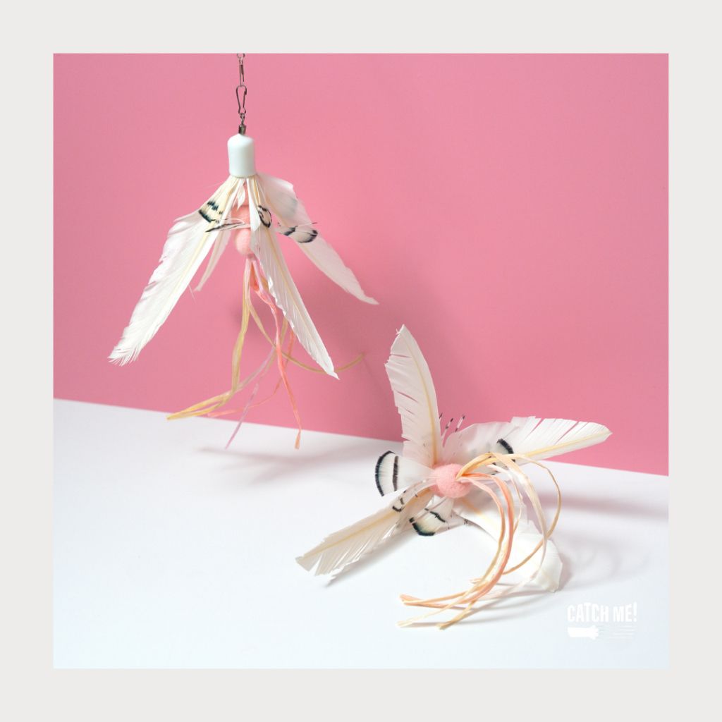 tw-11134207-7rbk9-m9r167izrgvt59