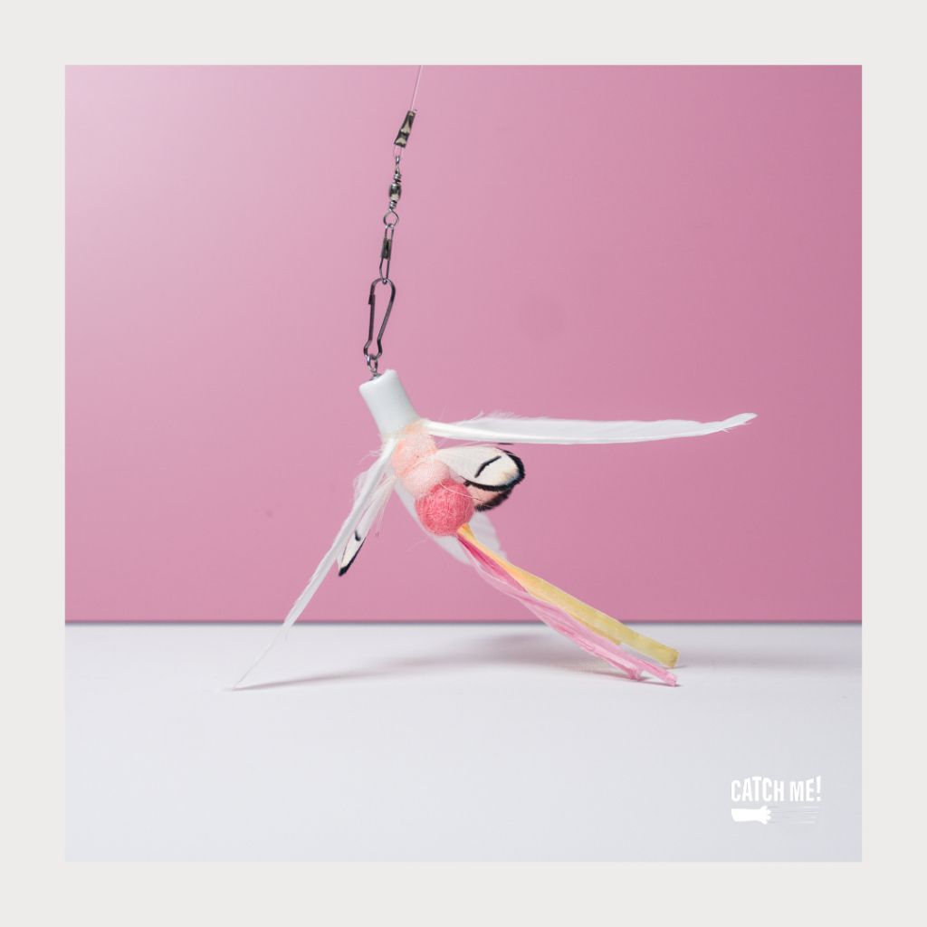 tw-11134207-7rbk8-m9r11uqj7gtj2b