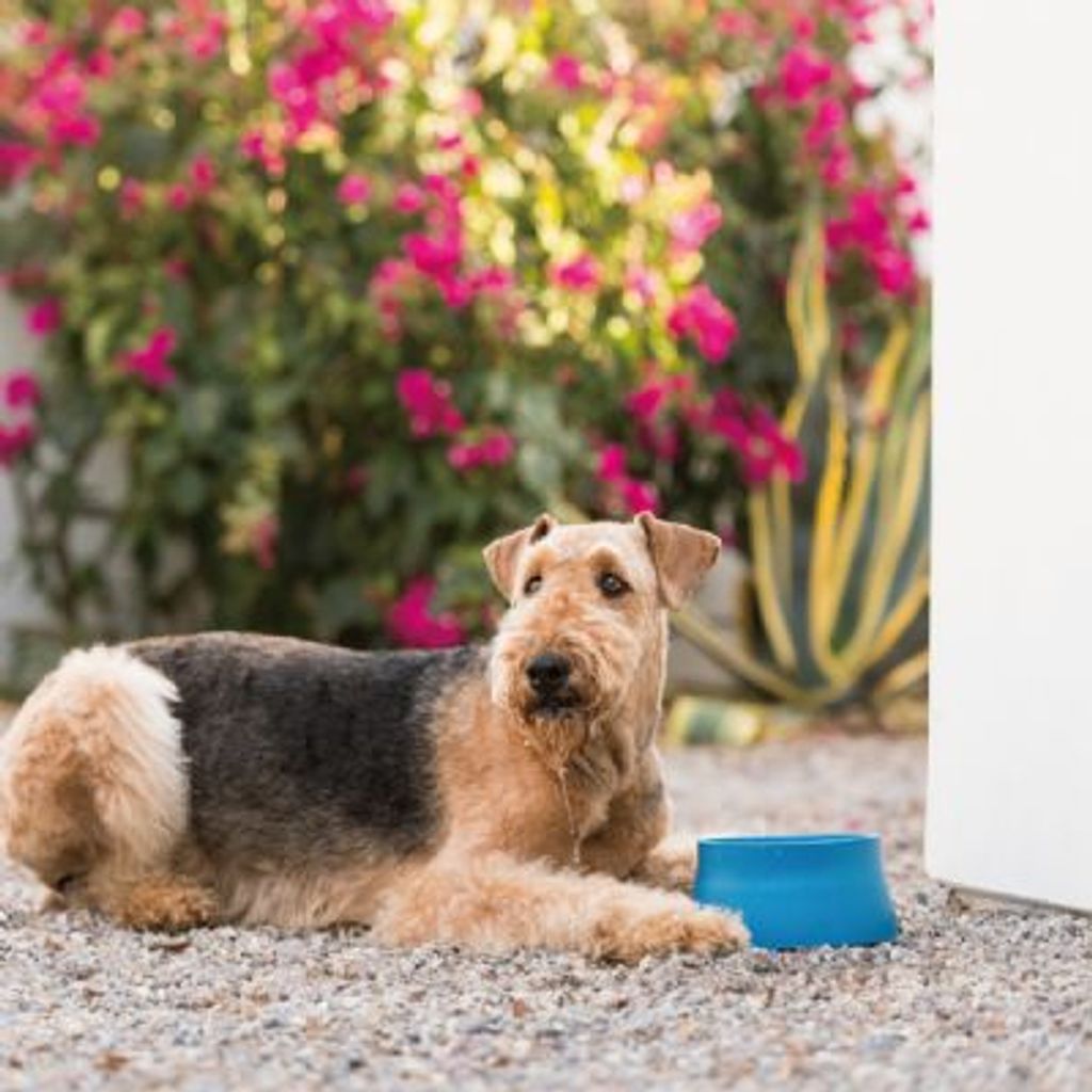 tw-11134207-23020-kuu6kzytd8mv62