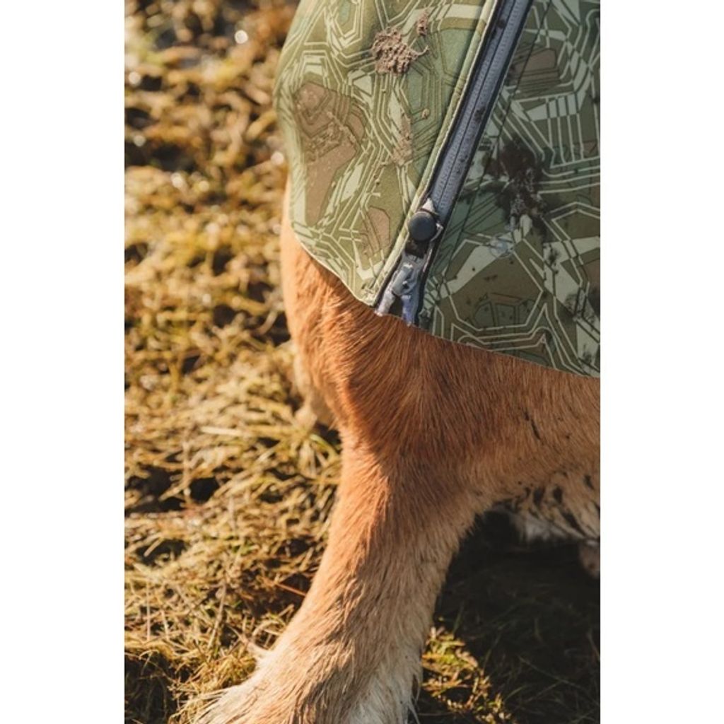 3d8e5cec29cbf0544cecdca12ff2c7a9