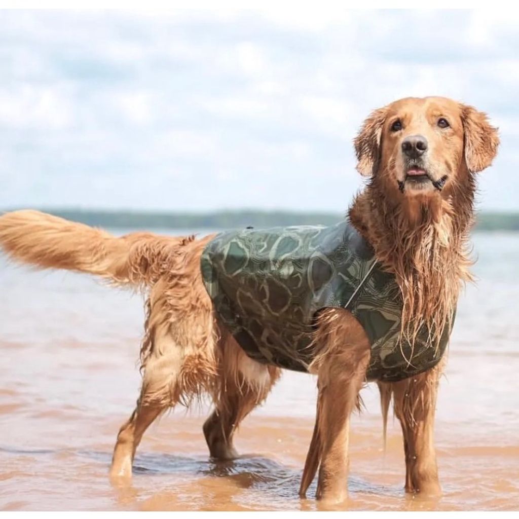 78c15c5ea22c9b405fb08f956840856e