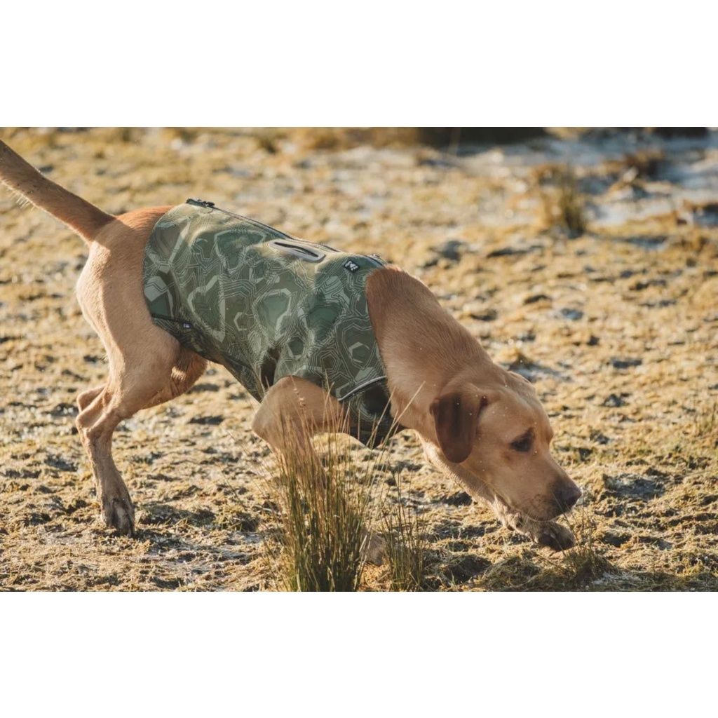 645734623b2e8d03b344c3cde7972f00