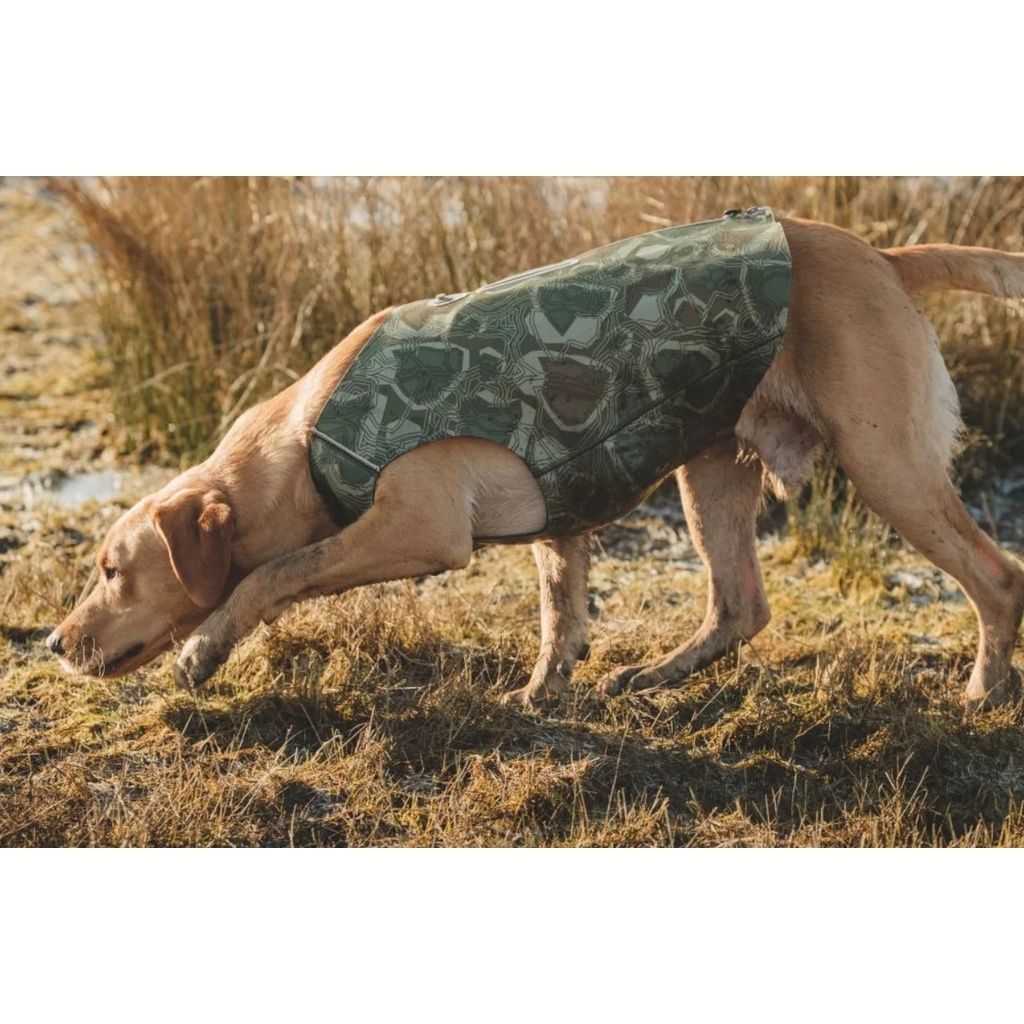 33fc7f3e10a41b69e14da7c30ccc47ed