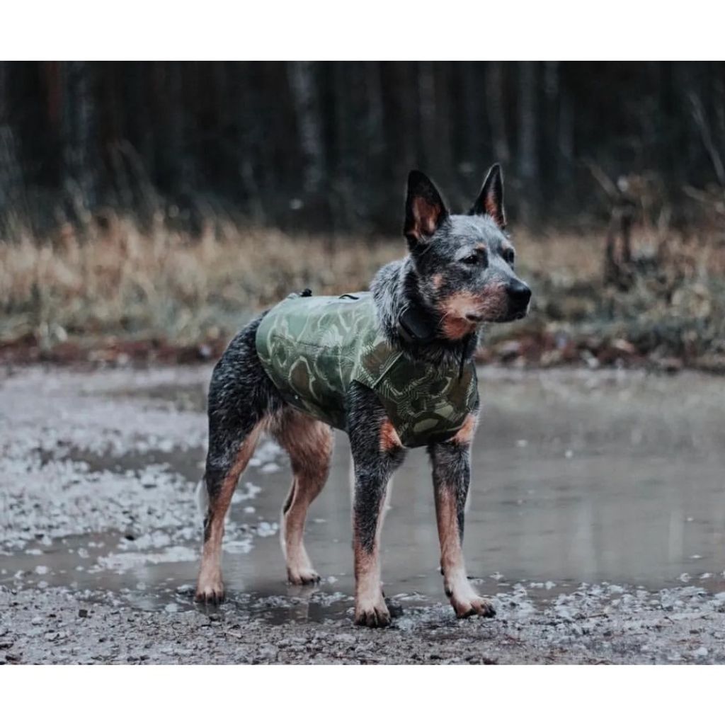 e908be6ad4571a0320268d74aa017329