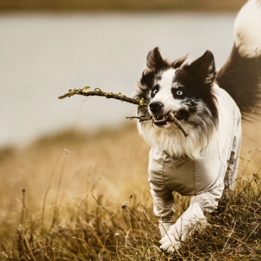 bee95ad287e050b63134f7985d891a7c