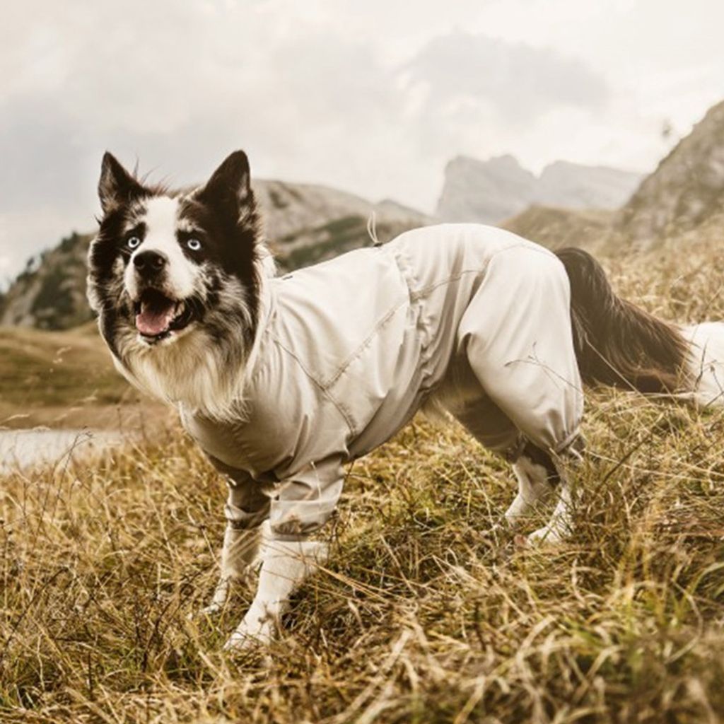 4446f042411fb80dbb89671399645d64