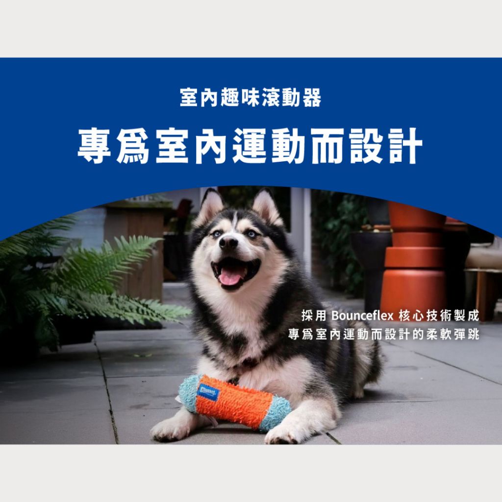 tw-11134207-7rbkd-m9pj2rshxzo2e4