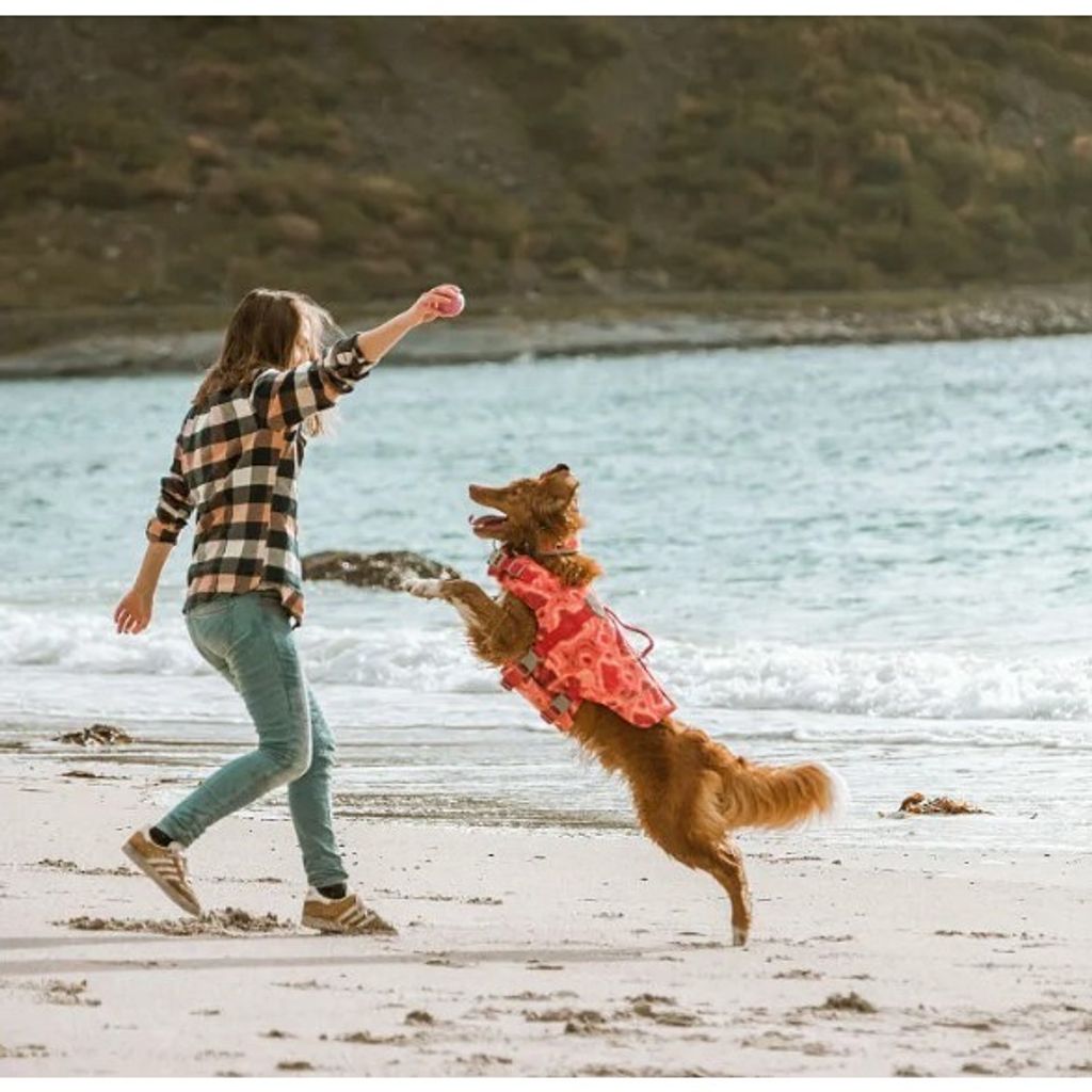 0d9e255e8a253e2e11d4d5a0de0d86b5