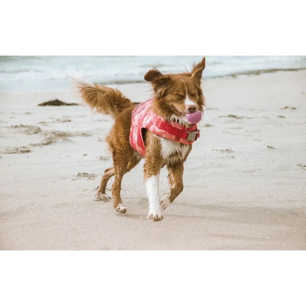 68d3a5d2fa91523d5c0307c9e78547a2