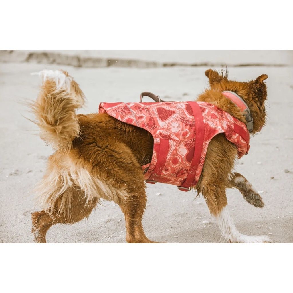 81dec43102647ff62ef0fe3e74e495a8