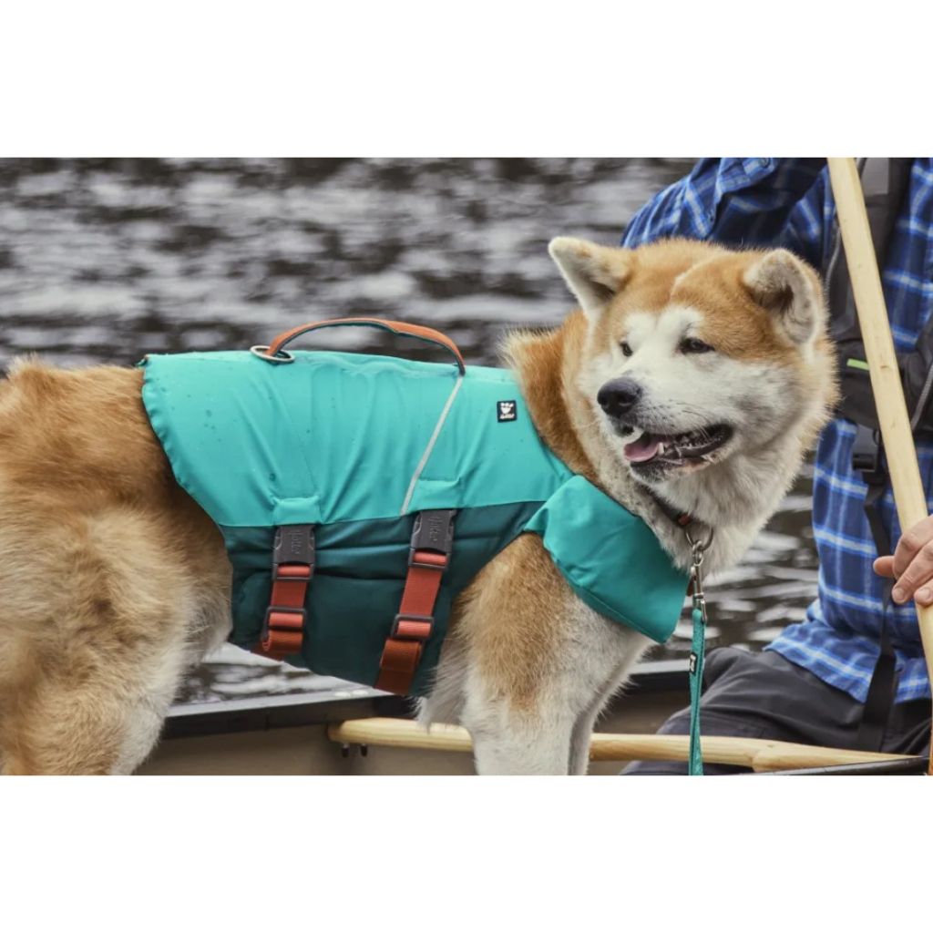 tw-11134207-23030-qvhtg4mncvovde